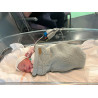 Casulo muito prematuro: macio, indicado para bebês prematuros em neonatologia